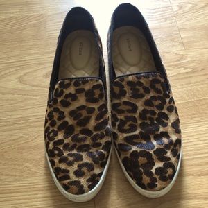 Birdies, the Swift in Leopard, size 9M